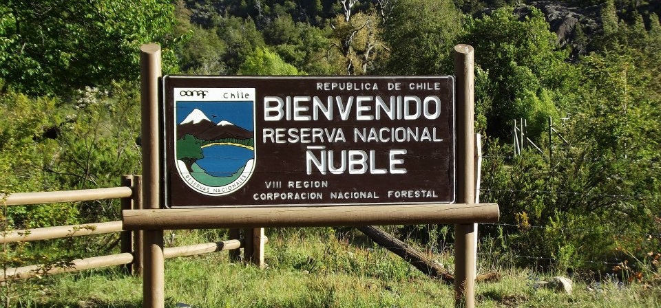 Ñuble National Reserve