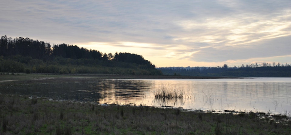 Peñuelas Lake Forestal Reserve