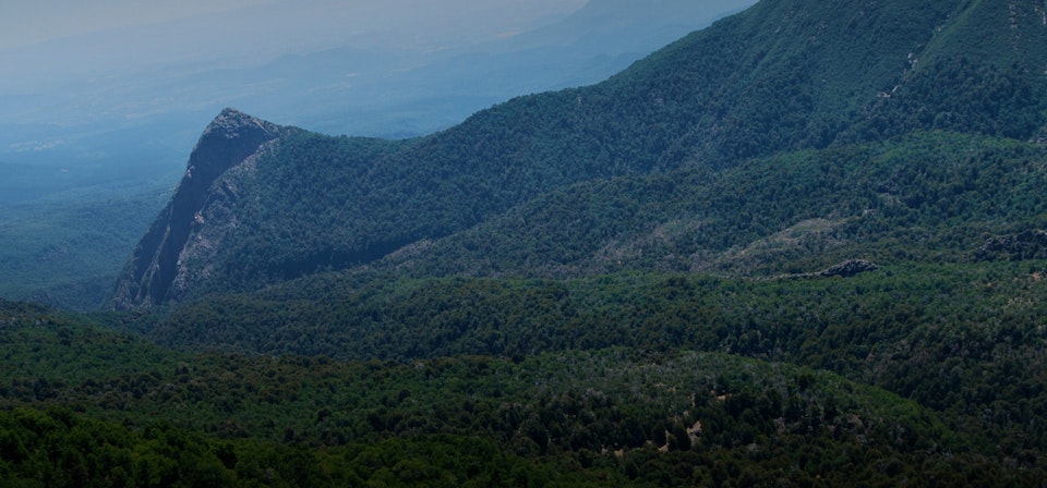 Altos de Lircay National Reserve