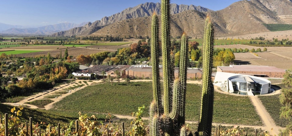 Aconcagua Valley Wine Circuit, Mendoza Wine