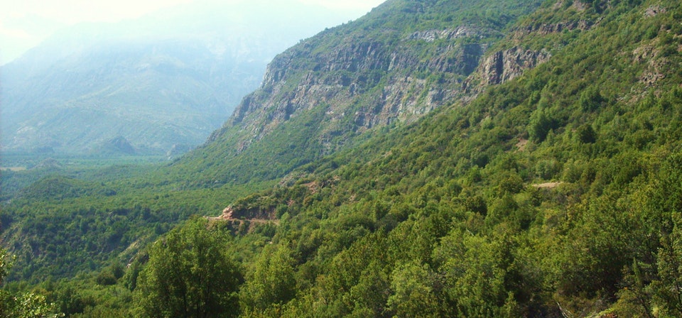 Reserva Nacional Río Cipreses