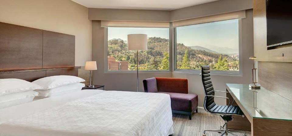 Classic Room, Guest room, 1 King, City view