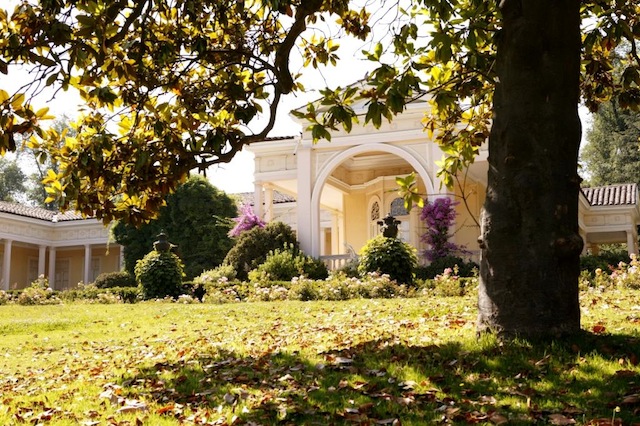 Travel Santiago, Mountains and Vineyards