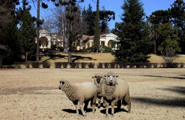 Paquete Santiago, Montaña y Viñedos - imagen #11