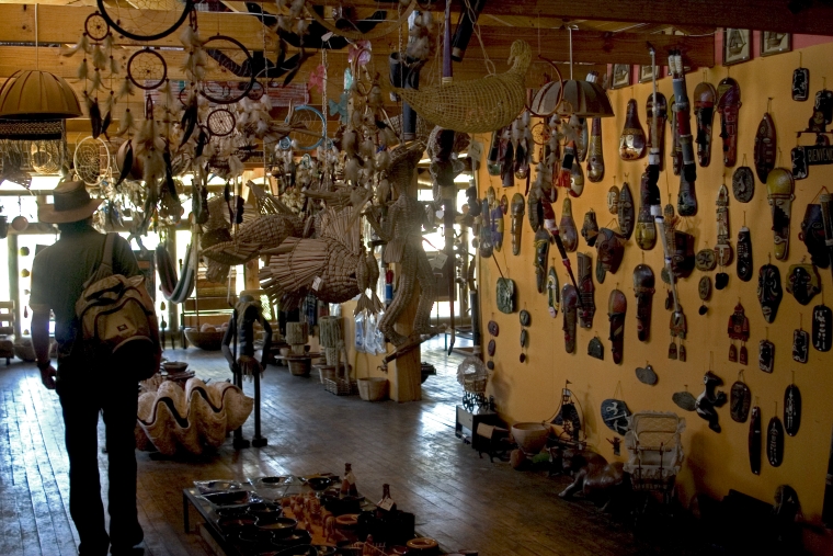 Santiago, Mar y Viñas del Valle Central