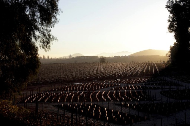Santiago, Cajón del Maipo y Valparaíso
