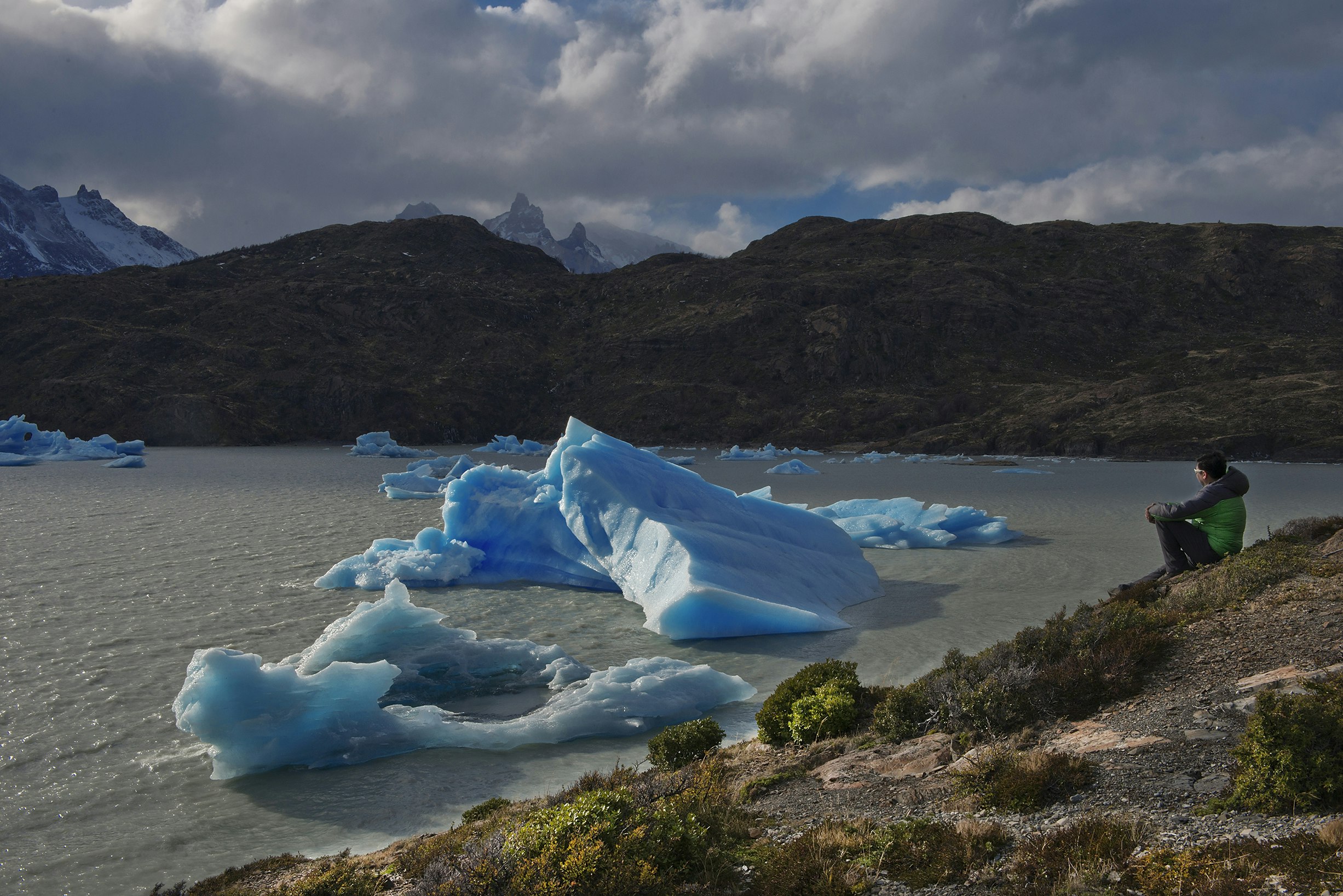 Tour Torres del Paine - Perito Moreno - Glaciers - imagen #10