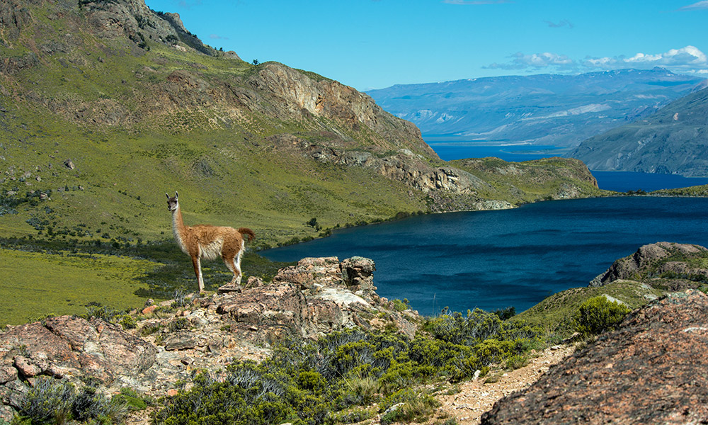 Torres del Paine y Trekking Base Torres