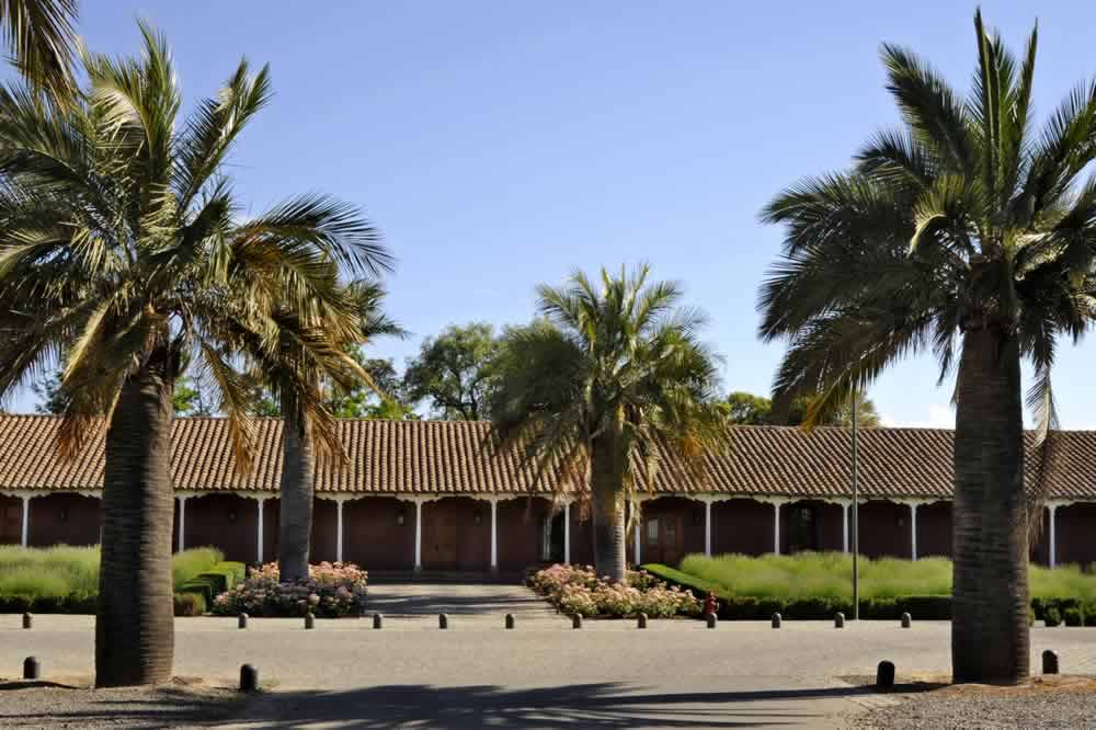 Santa Rita Vineyard Tour