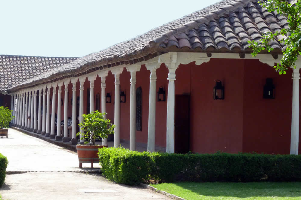 Santa Rita Vineyard Tour