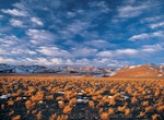 Colores de Atacama y Baltinache