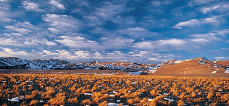 Atacama and Baltinache Colors