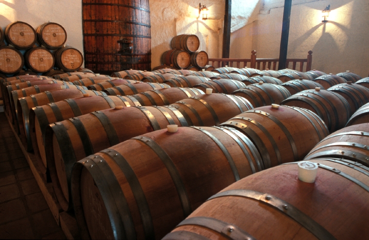 Tour Viña Concha y Toro