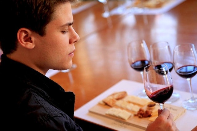 Concha y Toro Vineyard Wine Tour - imagen #8