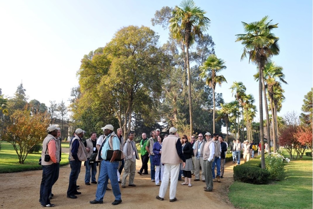 Tour Viña Undurraga