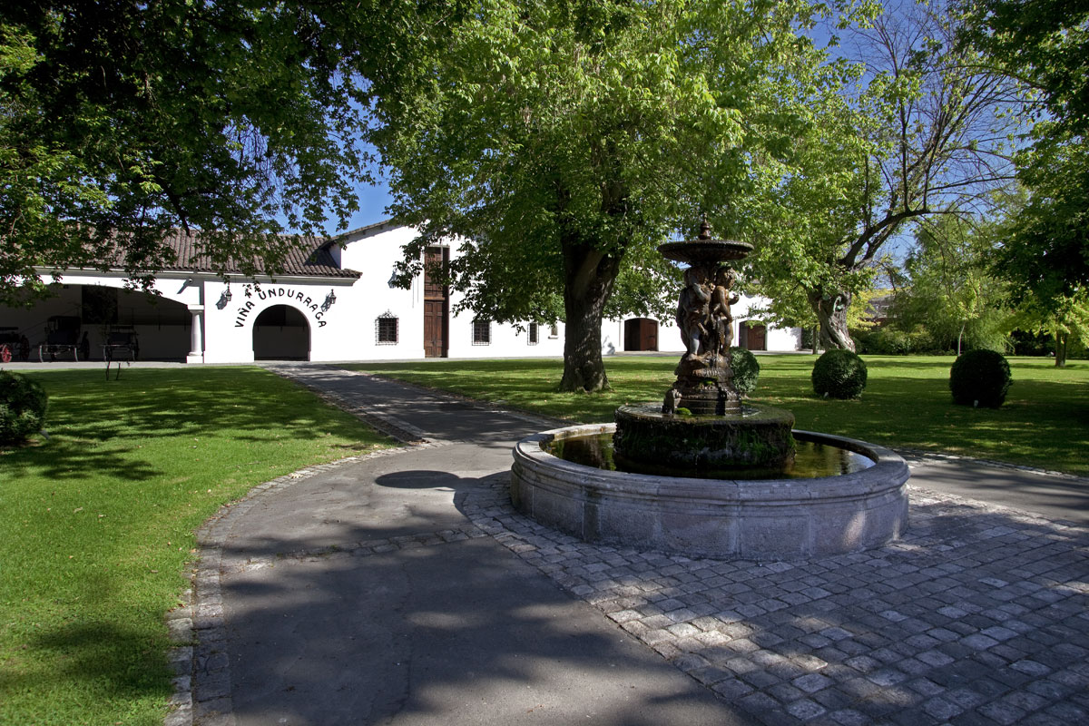Tour Viña Undurraga
