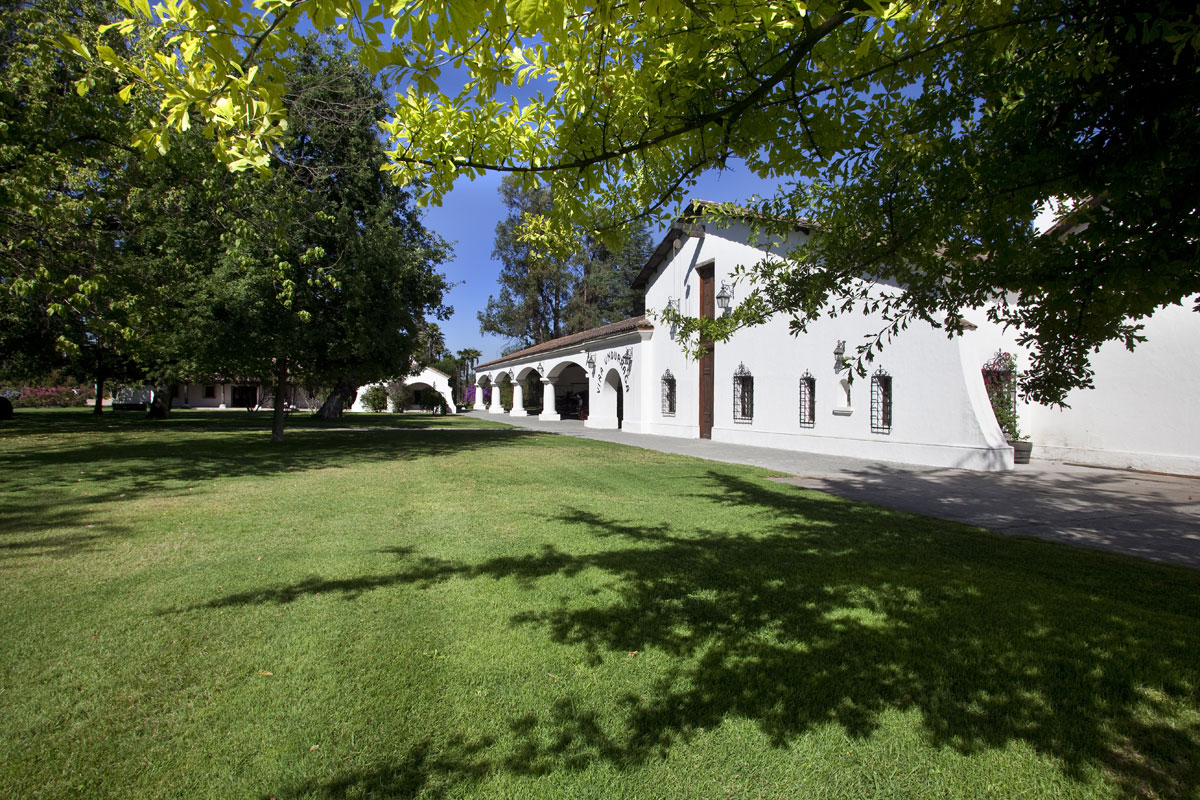 Tour Viña Undurraga