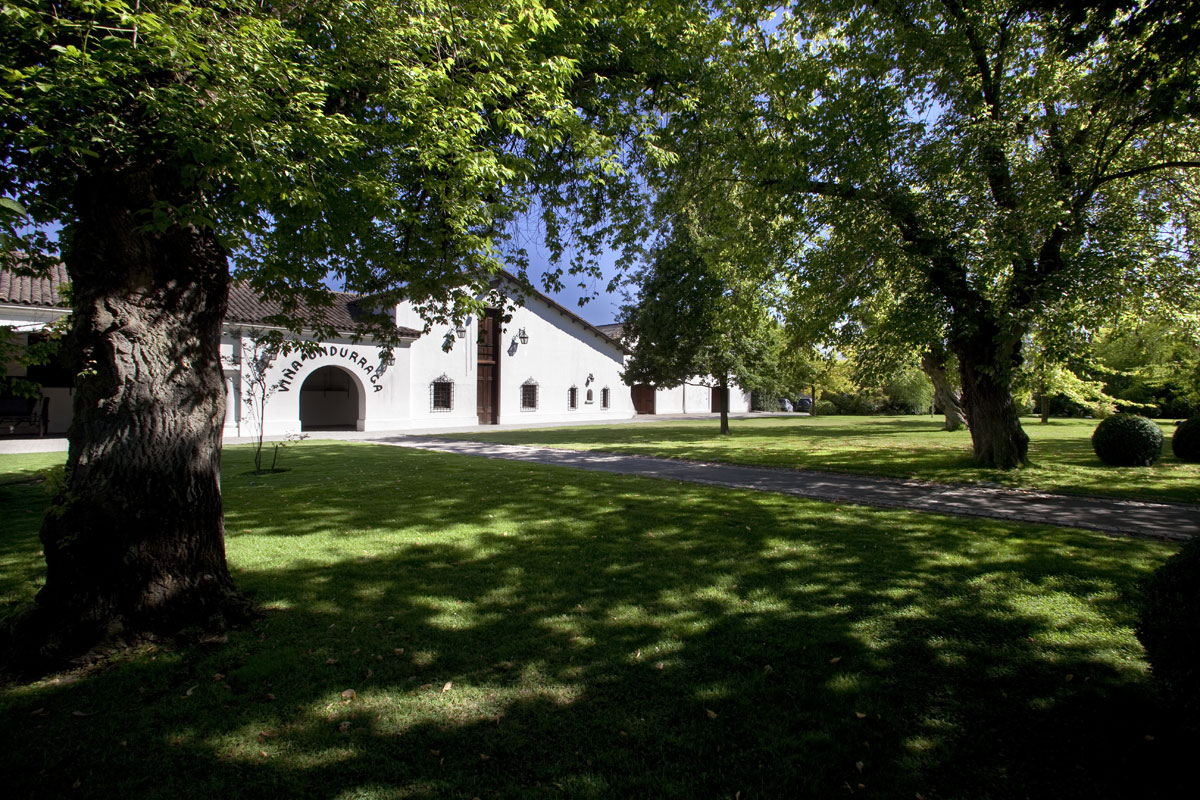 Tour Viña Undurraga