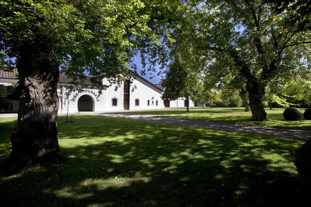 Tour Viña Undurraga - imagen #7