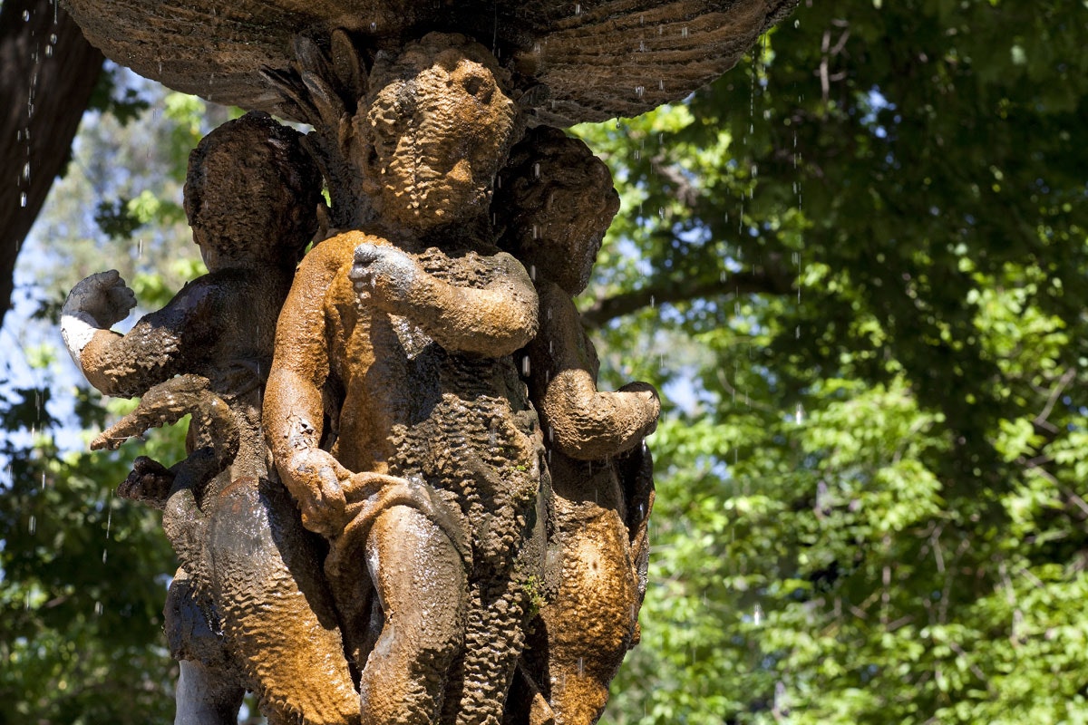 Tour Viña Undurraga - imagen #8