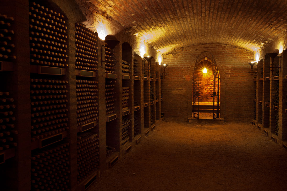 Tour Viña Undurraga