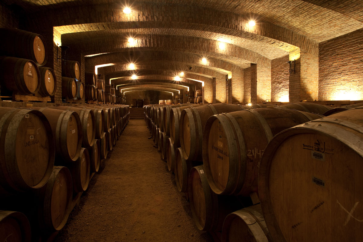 Tour Viña Undurraga