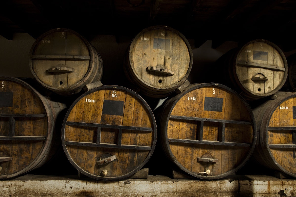 Tour Viña Undurraga - imagen #11