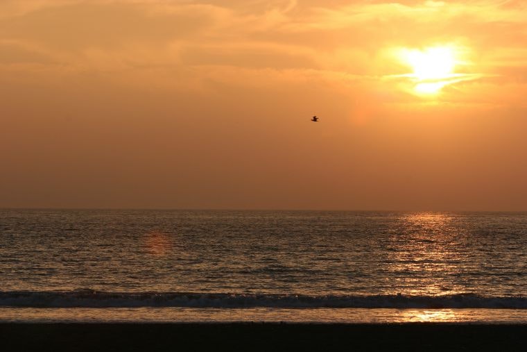 City Tour La Serena y Coquimbo - imagen #7