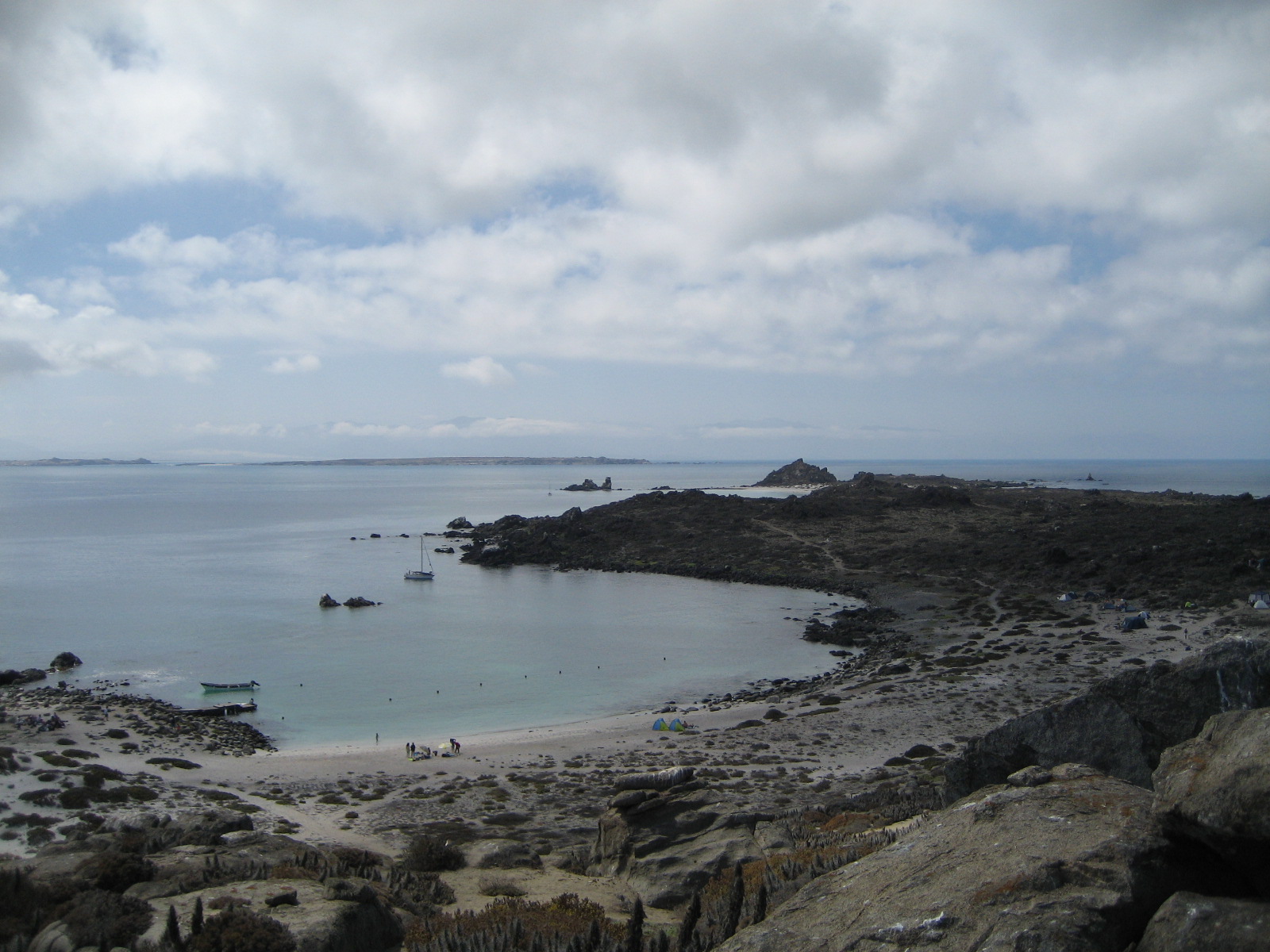 Tour Isla Damas: Reserva Nacional del Pinguino Humboldt