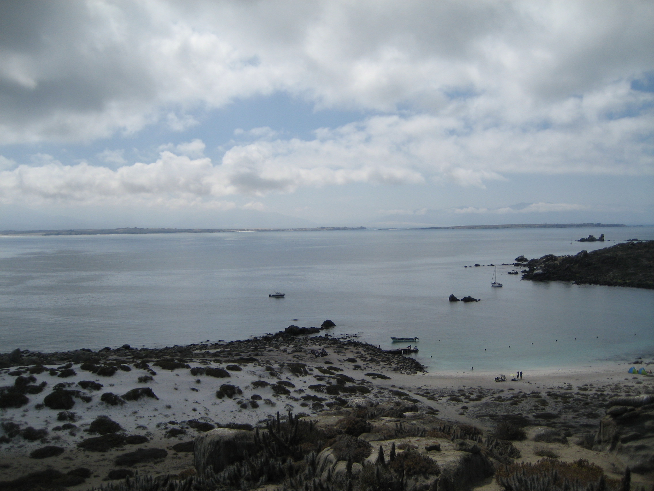 Tour Isla Damas: Reserva Nacional del Pinguino Humboldt