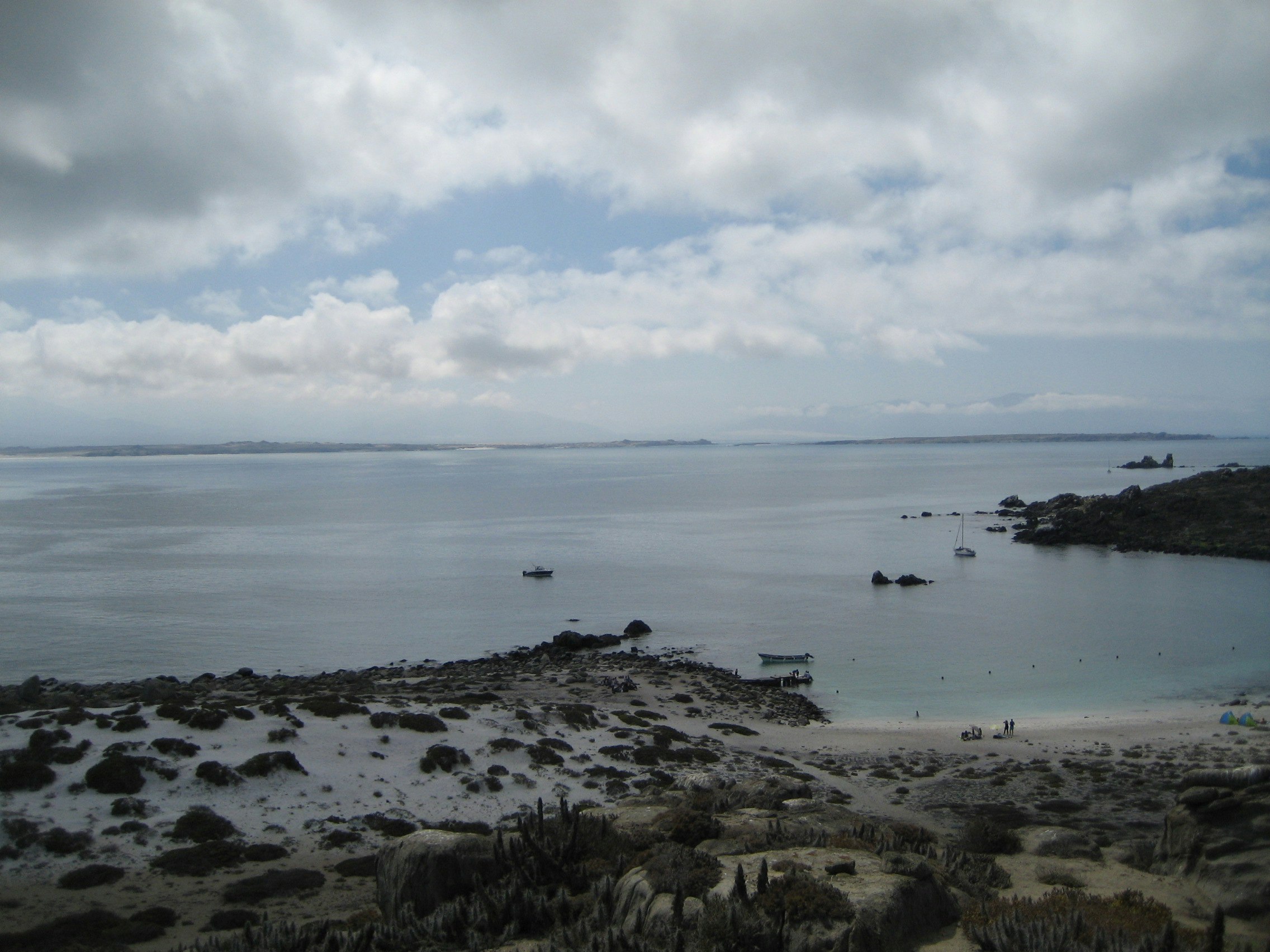Tour Isla Damas: Reserva Nacional del Pinguino Humboldt - imagen #7