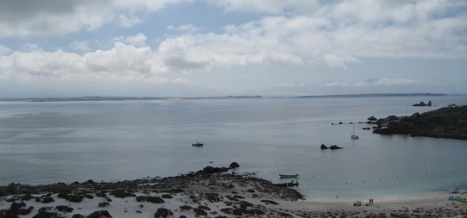 Isla Damas: Reserva Nacional del Pinguino Humboldt
