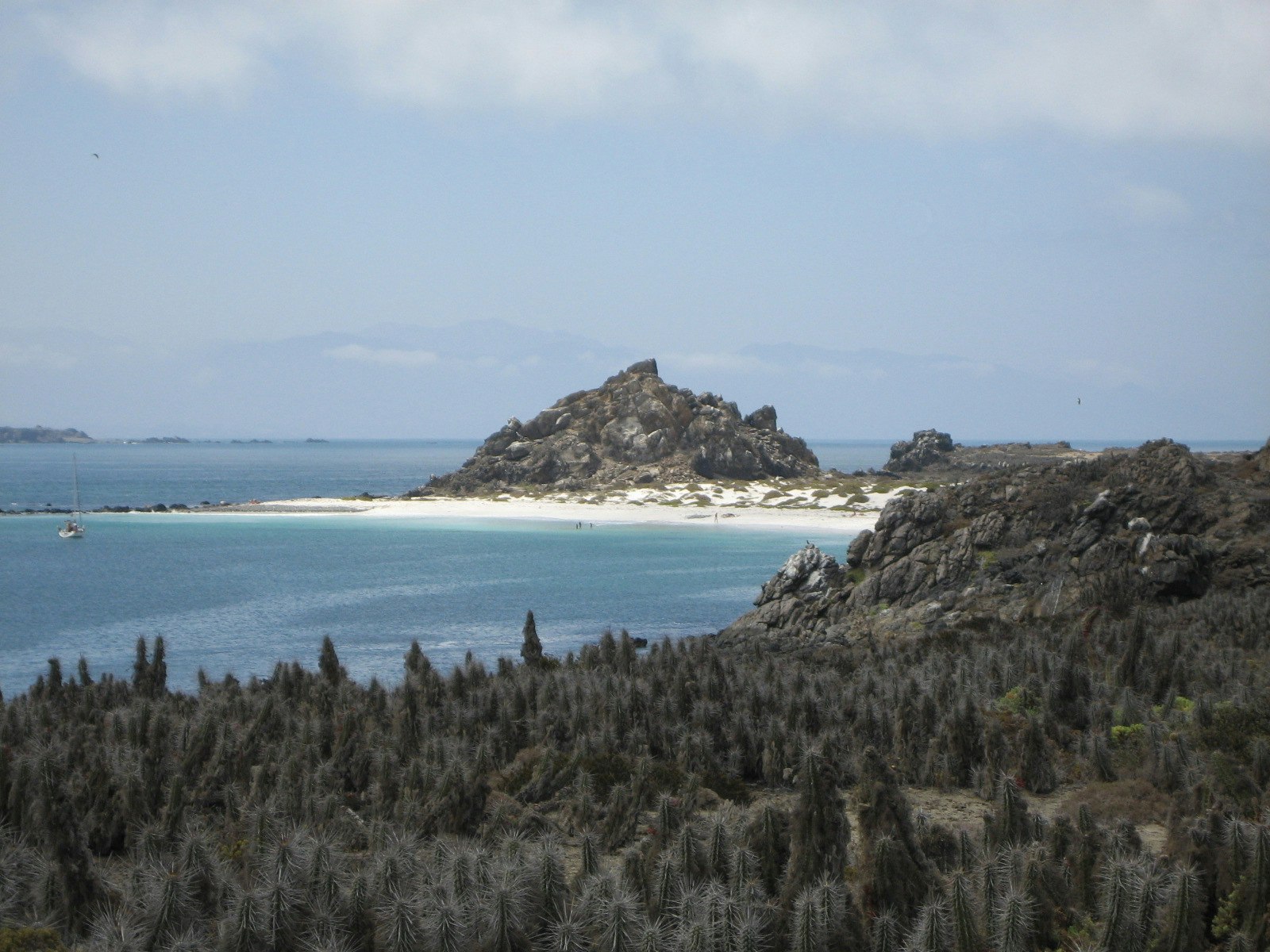 Tour Isla Damas: Reserva Nacional del Pinguino Humboldt - imagen #9