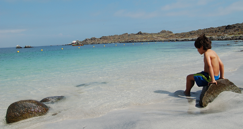 Tour Isla Damas: Reserva Nacional del Pinguino Humboldt