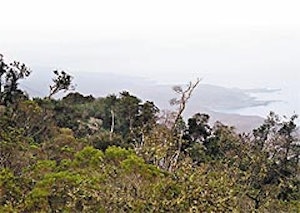 Fray Jorge National Park and Encanto Valley