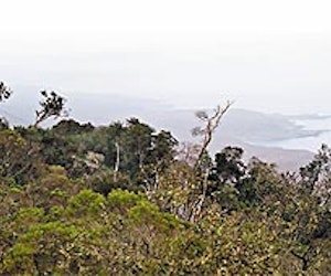 Parque Nacional Fray Jorge y Valle del Encanto