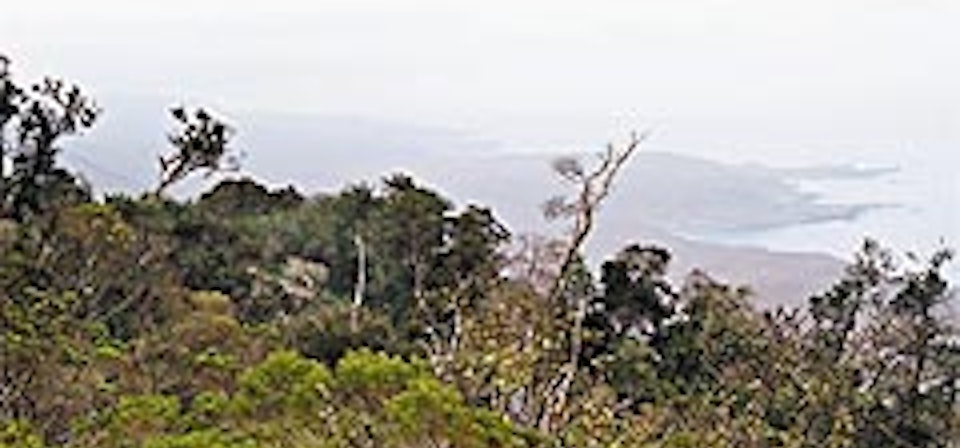 Parque Nacional Fray Jorge y Valle del Encanto