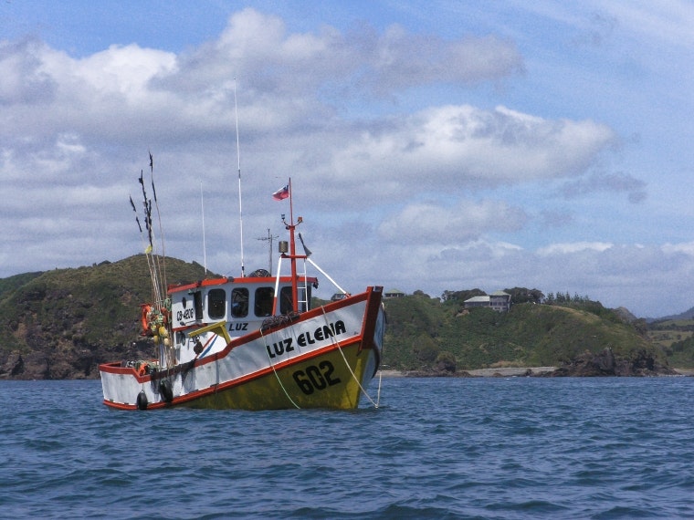 Travel to Puerto Varas, Chiloe and Petrohue Falls - imagen #7