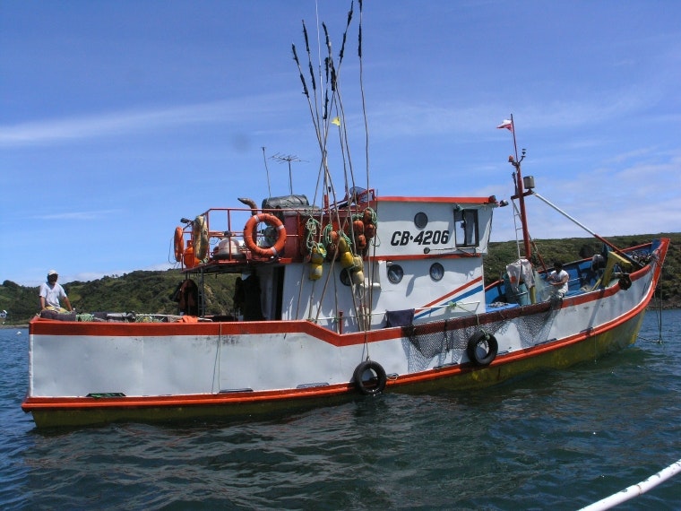 Tour en Puerto Montt - Puerto Varas - Frutillar - Chiloé - Petrohué - imagen #7
