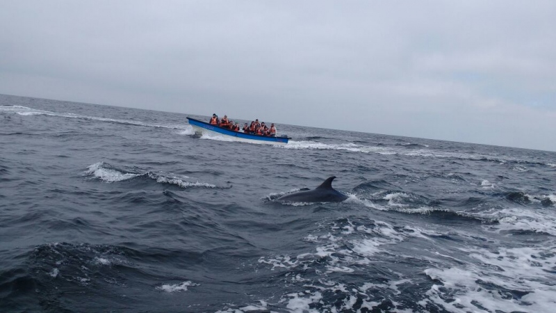Tour Isla Damas: Reserva Nacional del Pinguino Humboldt