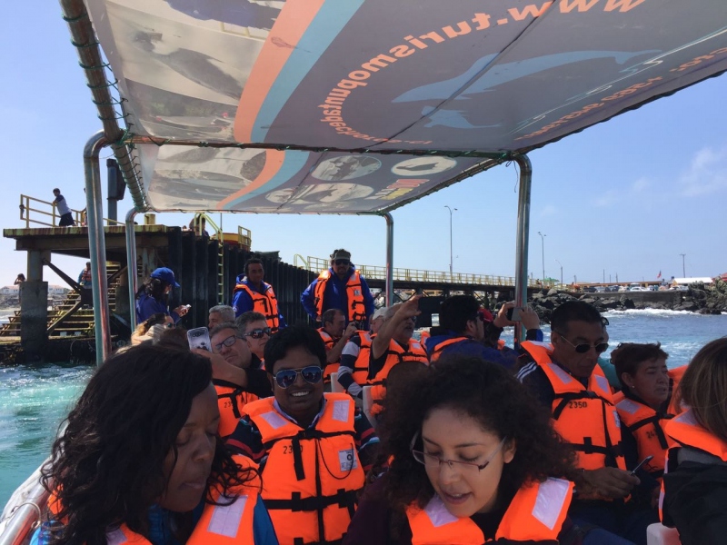 Tour Isla Damas: Reserva Nacional del Pinguino Humboldt