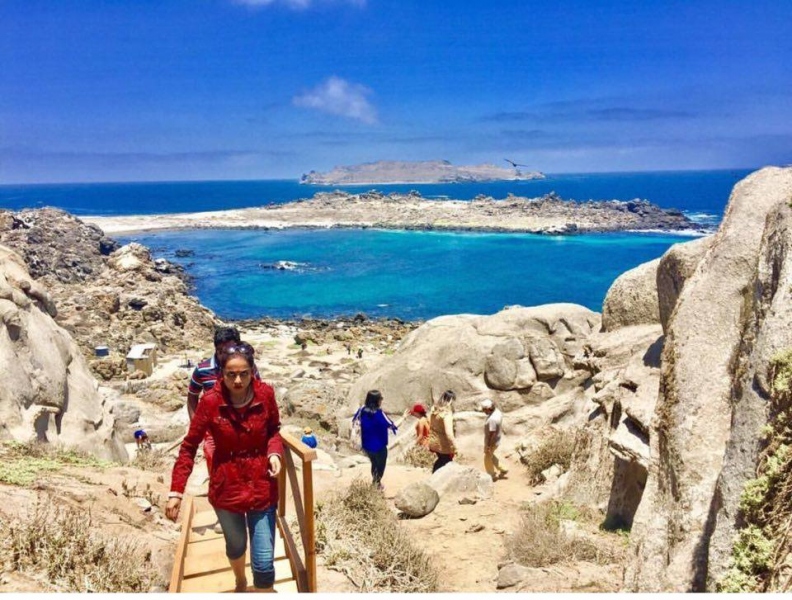 Tour Isla Damas: Reserva Nacional del Pinguino Humboldt