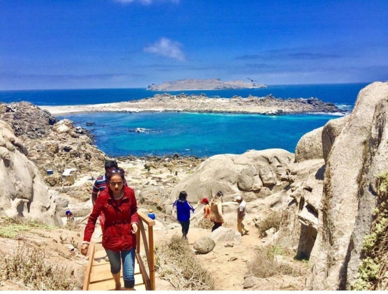 Tour Isla Damas: Reserva Nacional del Pinguino Humboldt - imagen #15