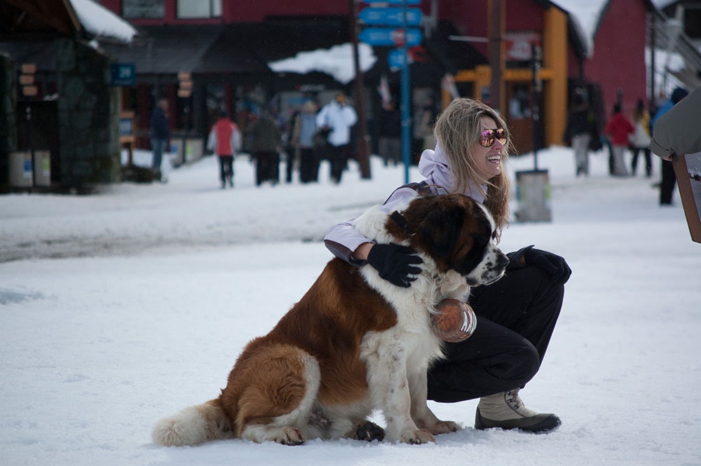 Puerto Varas to Bariloche Tour - imagen #10