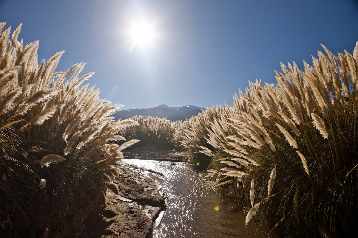 Trekking Bajos de Puritama