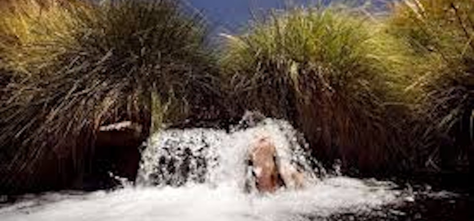 Puritama Hot Springs