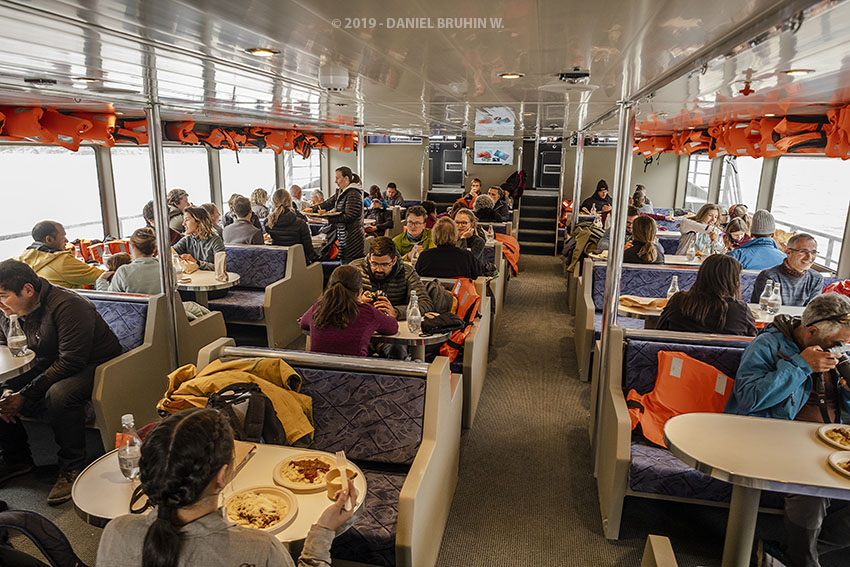 Whales, Penguins and Glaciers Tour