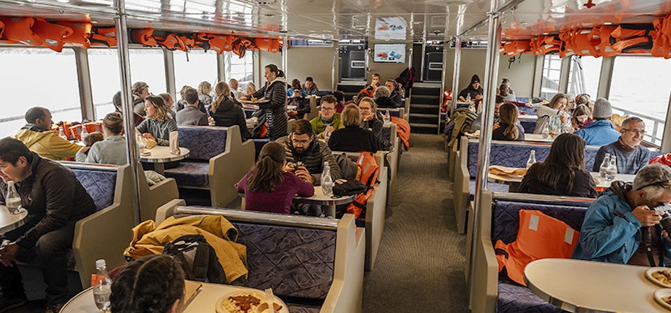 Whales, Penguins and Glaciers Tour