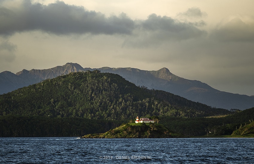 Whales, Penguins and Glaciers Tour - imagen #3