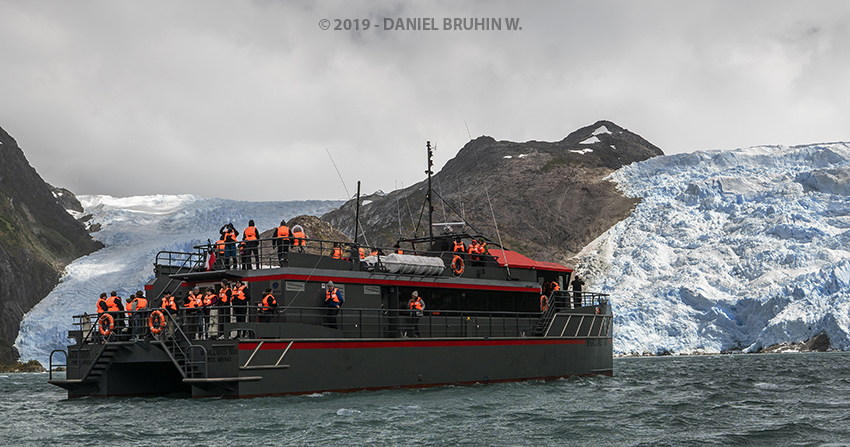 Whales, Penguins and Glaciers Tour